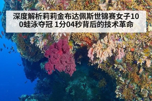 深度解析莉莉金布达佩斯世锦赛女子100蛙泳夺冠 1分04秒背后的技术革命