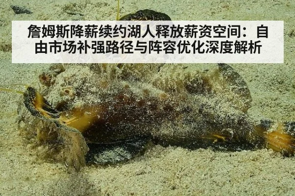 詹姆斯降薪续约湖人释放薪资空间：自由市场补强路径与阵容优化深度解析
